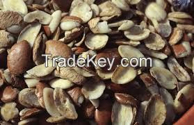 100% Pure Organic Irvingia Gabonensis Seed Extract