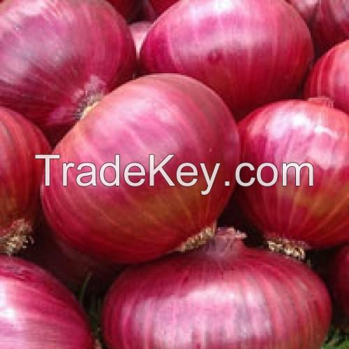 Fresh red onions