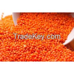 Premium Quality Split Red Lentils For Export!