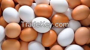 Fresh Table White and Brown Chicken Egg