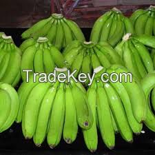 Fresh Cavendish Banana