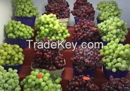 Fresh grapes for sale.