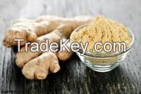 Grind Dried and Fresh Ginger