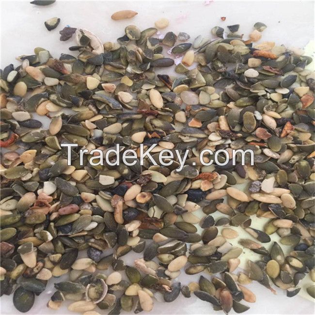 Export Pumpkin Seed kernels for Oil Extract and Powder