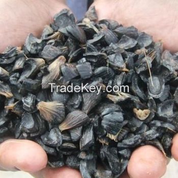 Palm kernel Shell ( PKS )