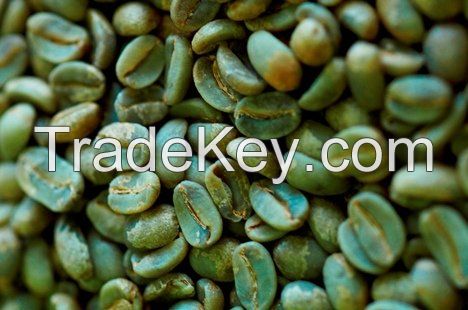 Green Arabica Coffee Beans -Grade AA, AB, PB, C, E