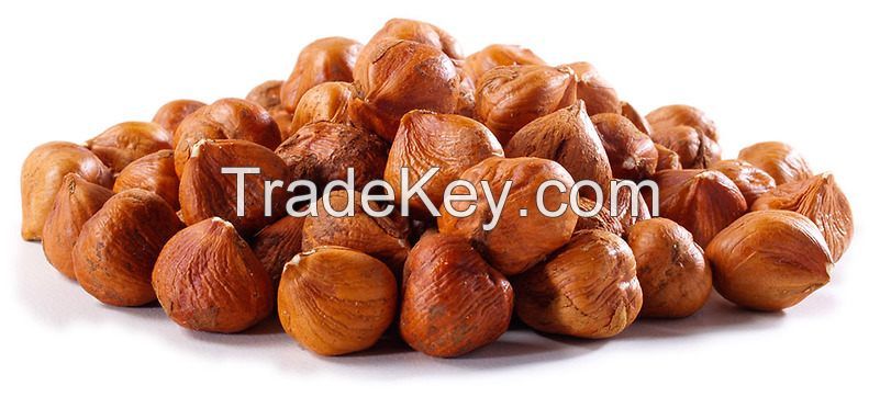 Hazelnut (in - shell and without shell) now available for sale