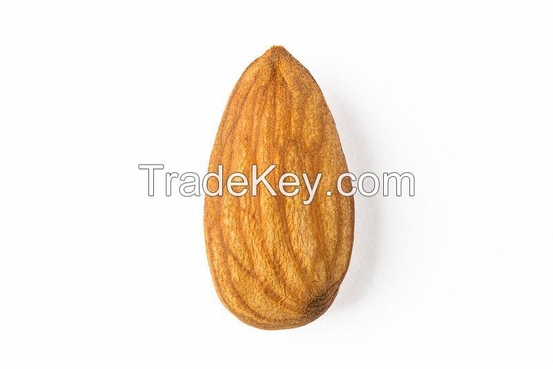 Raw Almond Nuts (NO SHELL), Roasted Almond Nuts, Almond Flour available