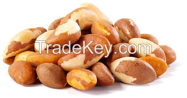 Raw Brazil Nuts, Roasted Brazil nuts available