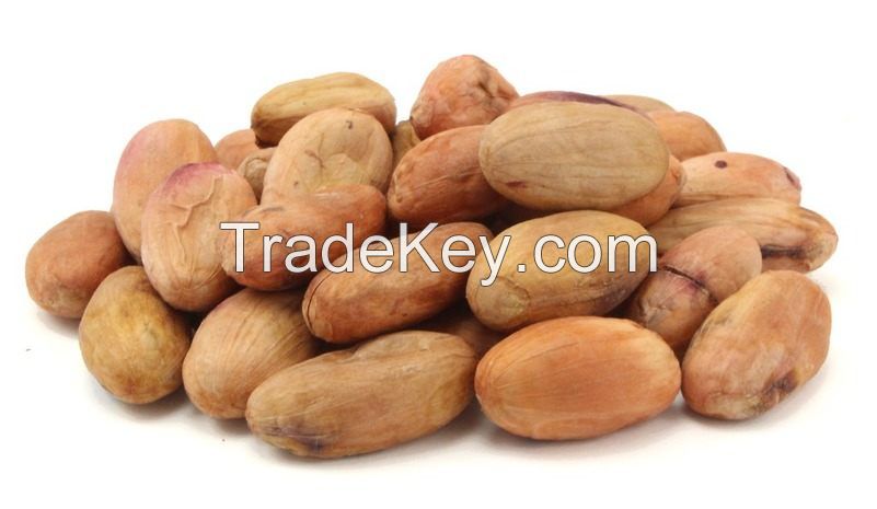 Raw Cocoa Beans available for sale