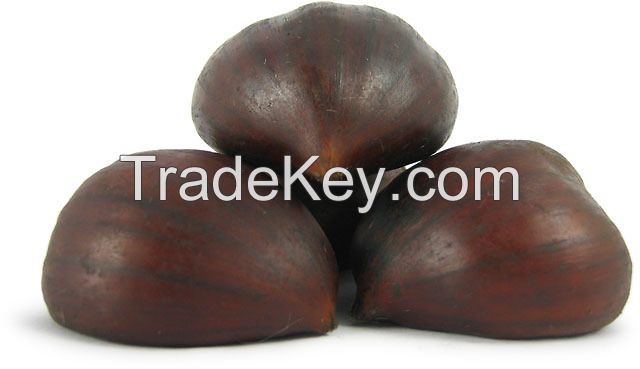 Fresh Chestnuts now available for sale
