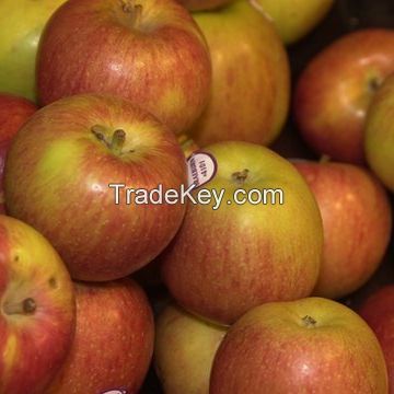 Fresh Delivery Quality Apple now Available on Sale. 30% Discount