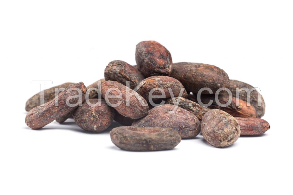 Raw Cocoa Beans Now Available