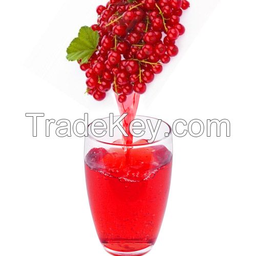 Redcurrant Juice Concentrate clarified 65 Brix