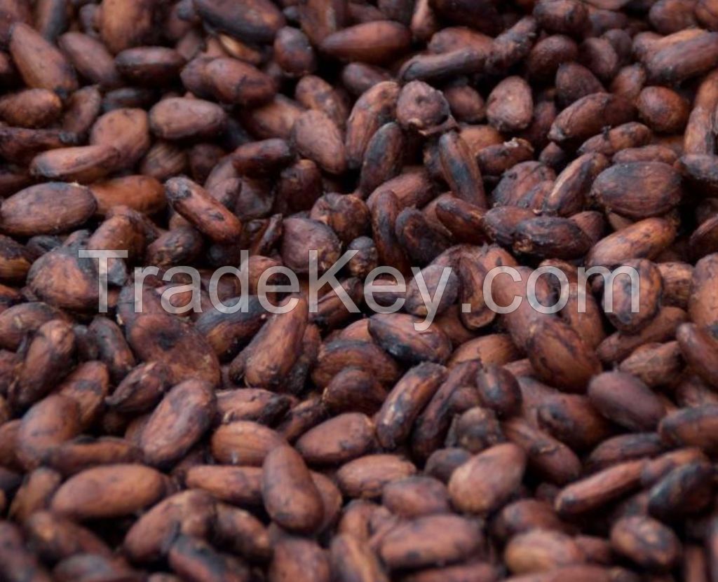 COCOA BEANS