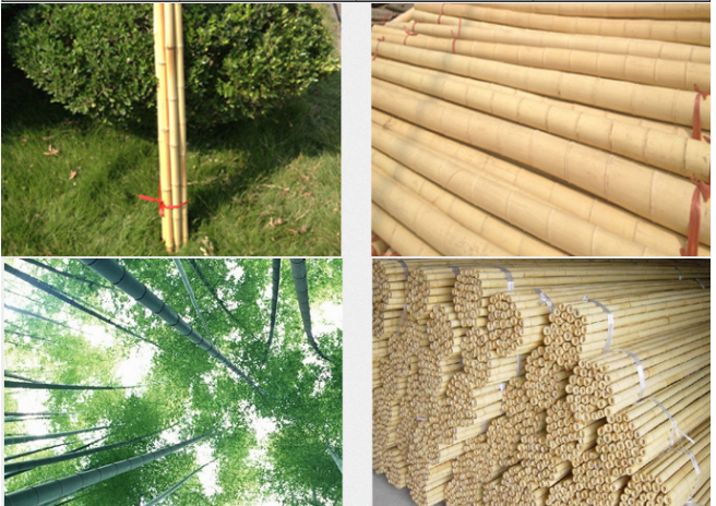 Sell Bamboo Stakes