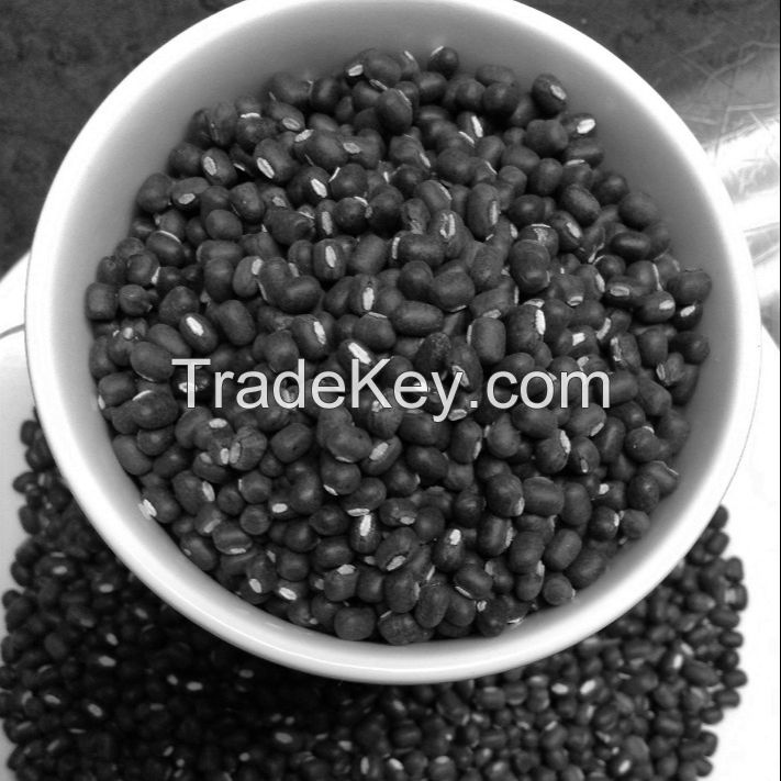 Black Mung Bean