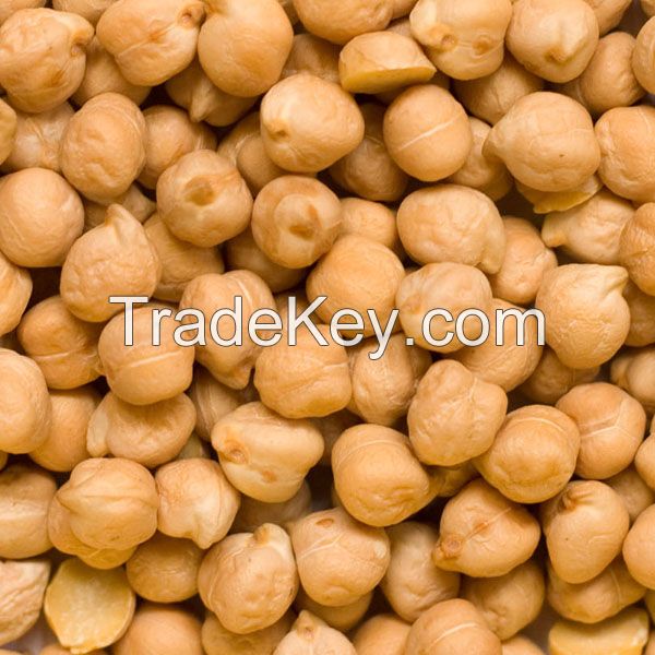 High Quality Grade AA Kabuli Chickpeas