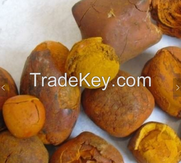 100% Whole Stones Ox Gallstones/ Cow Gallstones