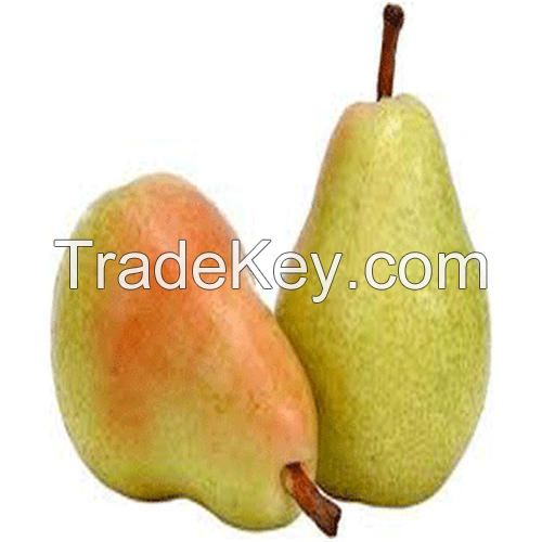 Fresh Pears from South Africa with good price.