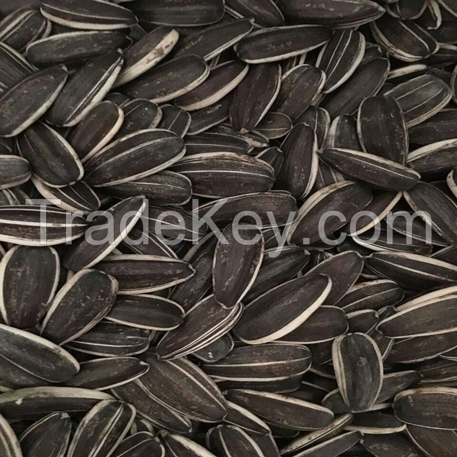 sunflower seeds type 5009 high quality from Inner Mongolia