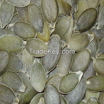 grown without shell pumpkin seeds