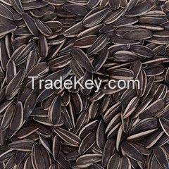 sunflower seeds type 0409 high quality from Inner Mongolia