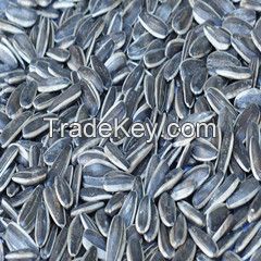 sunflower seeds type 363 new crop 2016 high quality