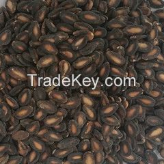 black watermelon seeds