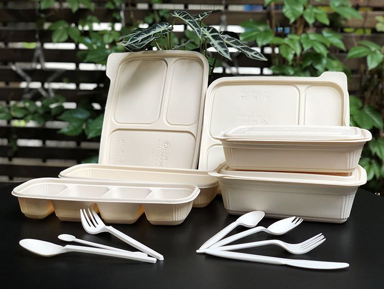 Sell Eco-friendly PLA Disposable Food Container