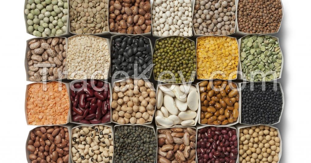 Top Quality of Variety Beans