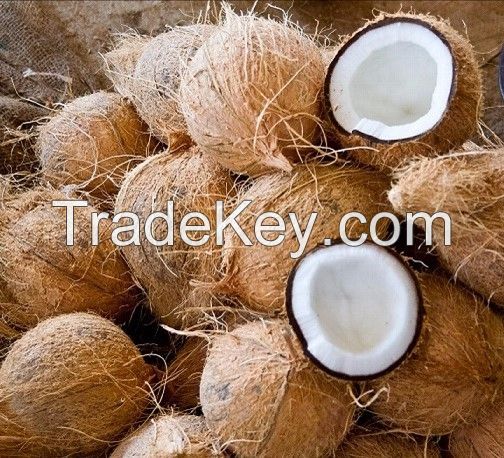 Fresh Coconut / Dried Coconut Copra