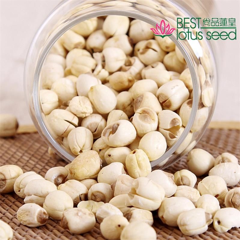 Handmade White Lotus Seed Nut Kernel Lotus Extract Manufacture Wholesaler Supplier Exporter