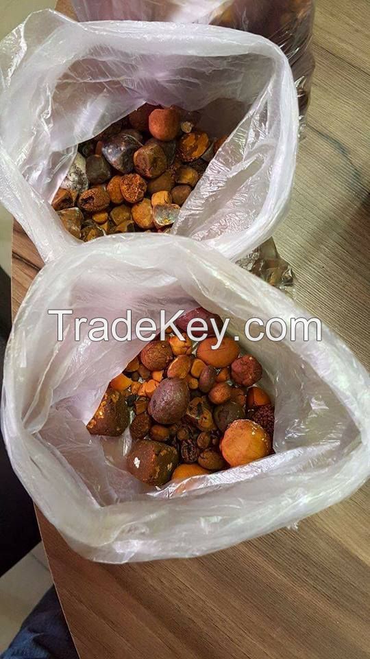 OX AND COW GALLSTONES FOR SALE