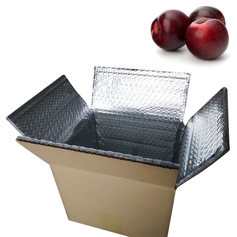 Innovative Reusable Thermal Box Flexible Cold Storage Corrugated Carton Foil Bubble Insulated 20kg Blue Berry Packaging Shipping