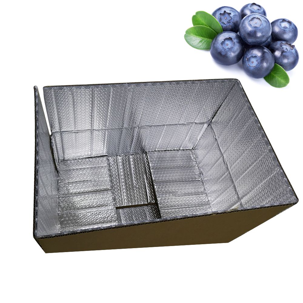 12" x 12" x 5.5" Aluminum Foil Bubble Corrugated Insulated Carton Thermal Box Cold Chain Packaging Perishable Food Shipping