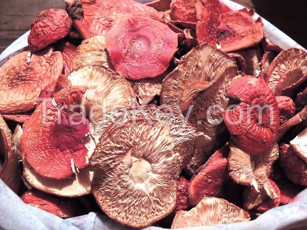 Amantia  Muscaria Mushroom Cap Powder - Fly Agaric  2018 Harvest