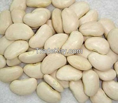 best  quality grade Lima beans whole sale price