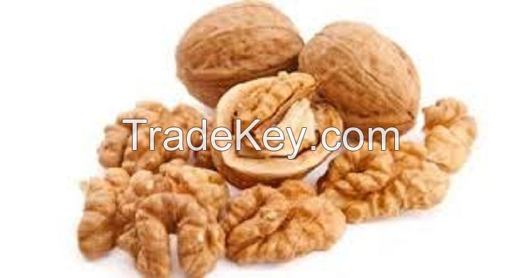high quality grade Walnuts whole sale price