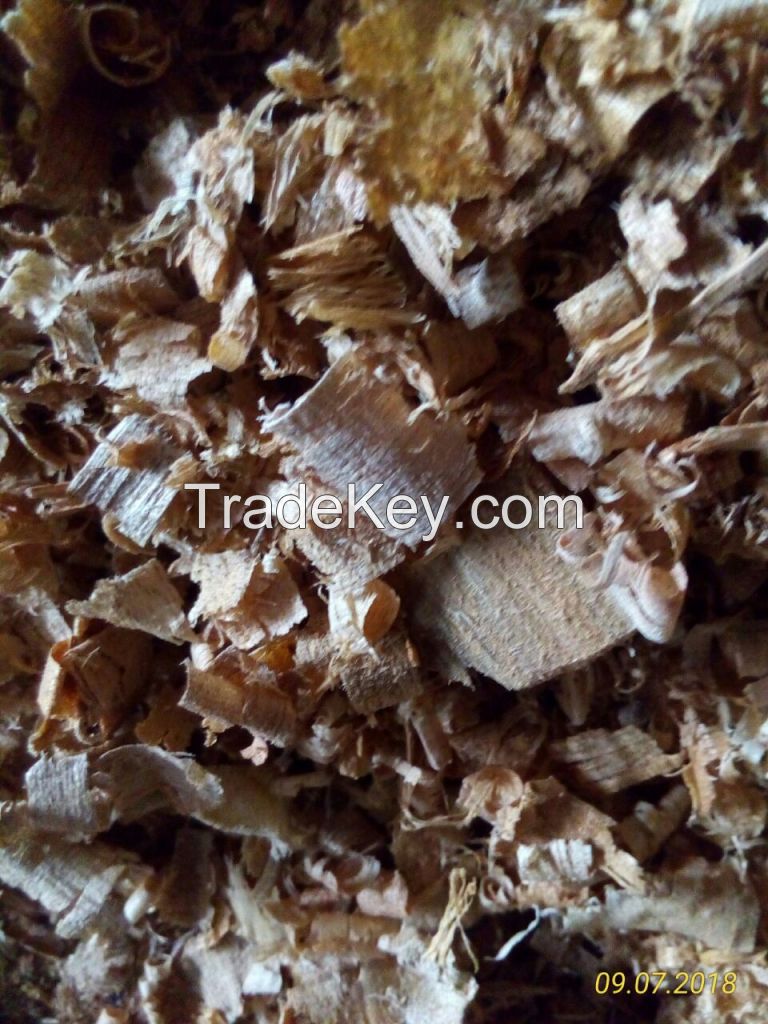 Sawdust (Serbuk Kayu)