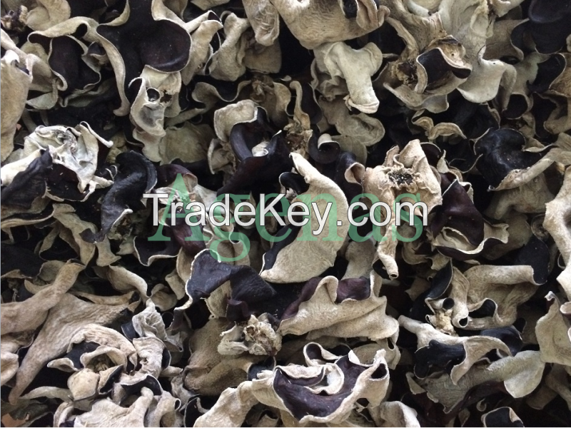 Black fungus from Viet Nam