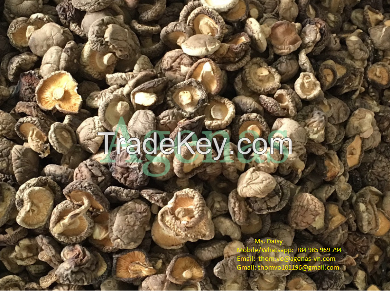 Shiitkae mushroom from Viet Nam