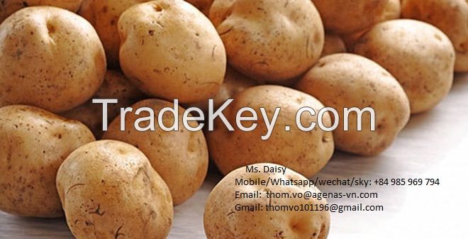 Potato from Viet Nam