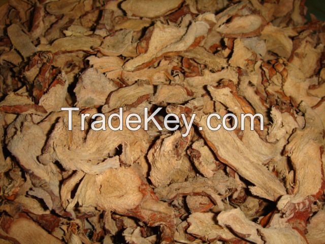 Dried galanga with competitive price