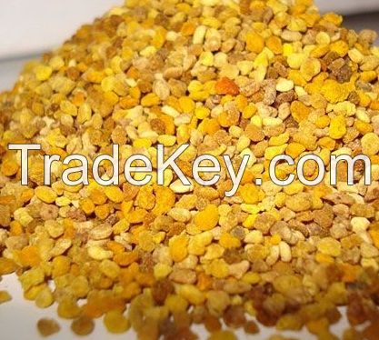 BEE POLLEN FROM VIETNAM WITH HIGH QUALITY