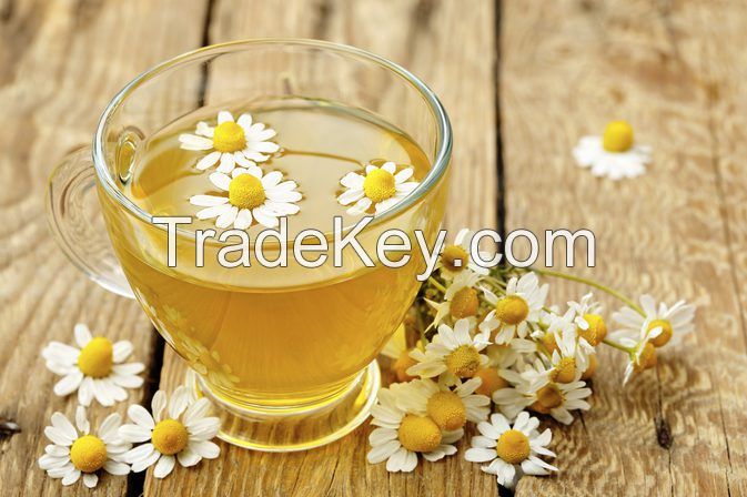 Dried Daisy Flower Tea