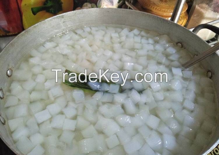 NATA DE COCO FROM VIETNAM