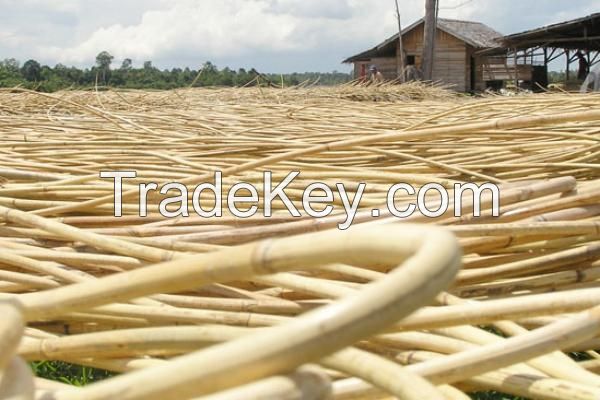 RATTAN RAW MATERIAL from Vietnam