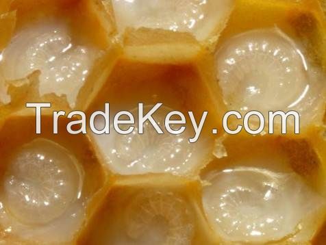 ROYAL JELLY  FROM VIETNAM