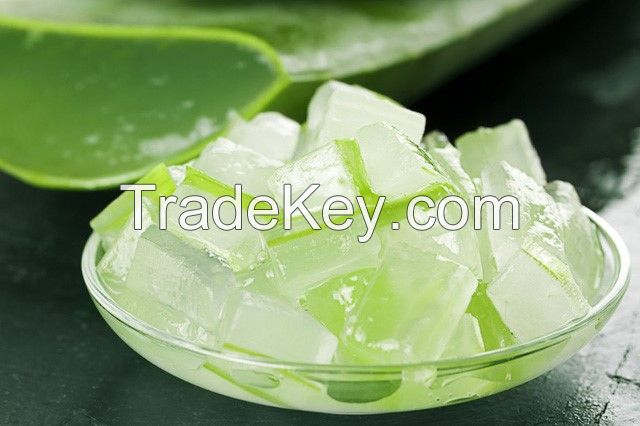 FROZEN ALOE VERA FROM VIETNAM WITH HIGH QUALITY AND BEST PRICE